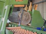 Other equipment Pásová Linka na pořez kulatiny |  Sawmill machinery | Woodworking machinery | Drekos Made s.r.o